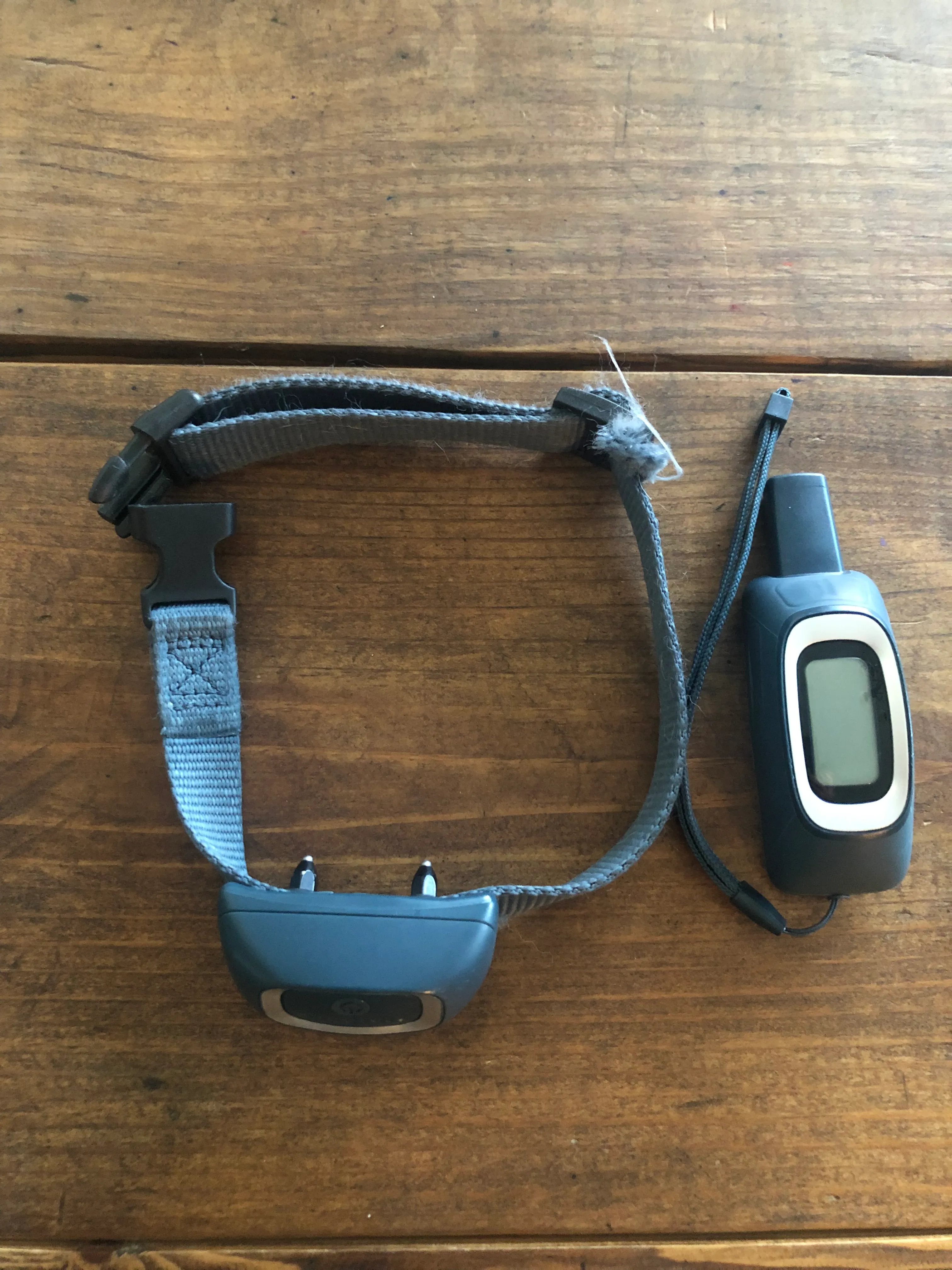 RF dog training collar and transmitter.